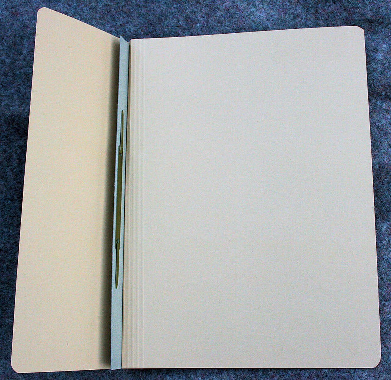 An empty file folder waiting for a label