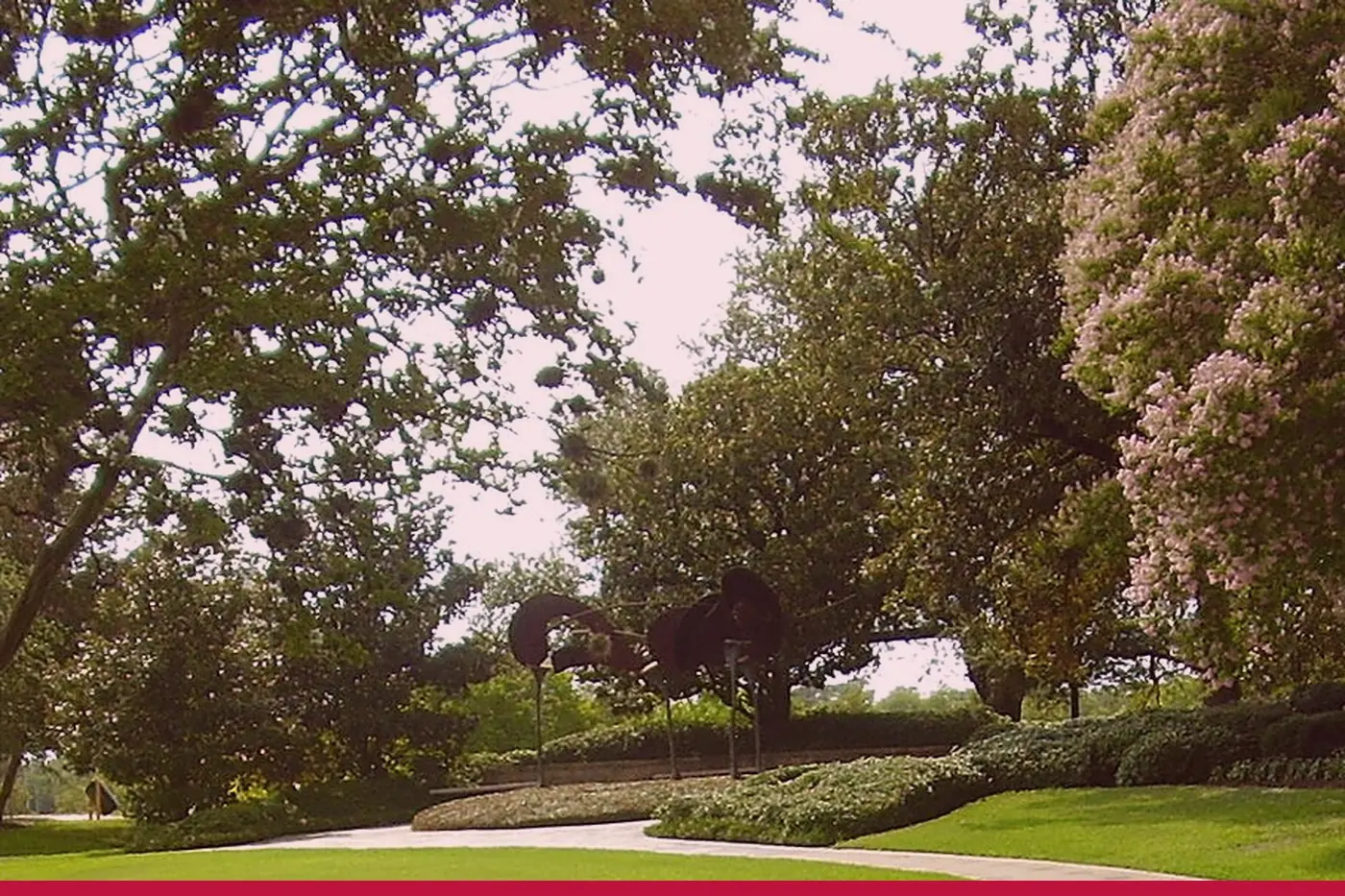 Trees above the lawn at Eleanor Tinsley Park