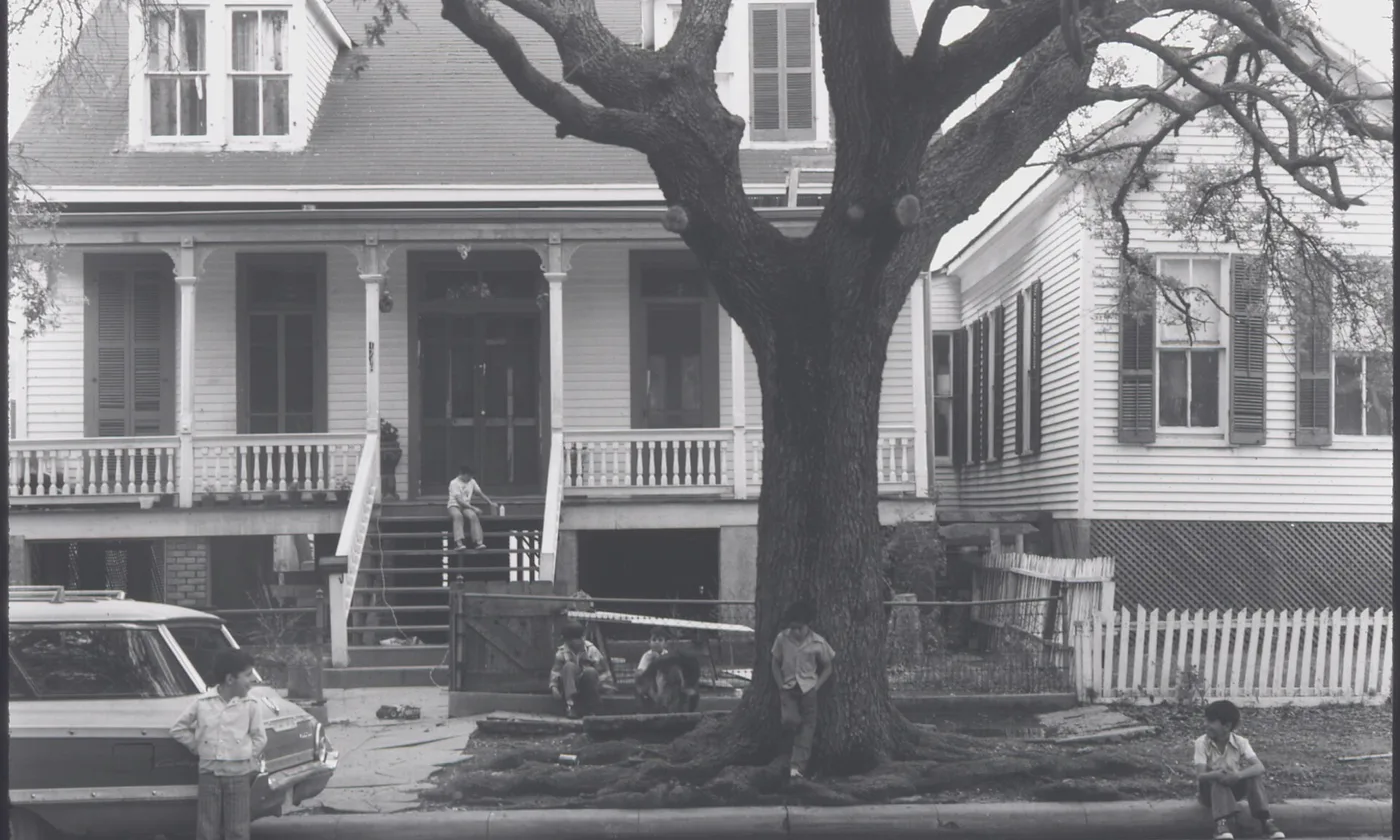 A house and a tree in the Fifth Ward