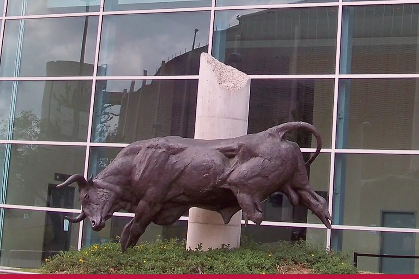 The bull in front of the glass at the south side stadium