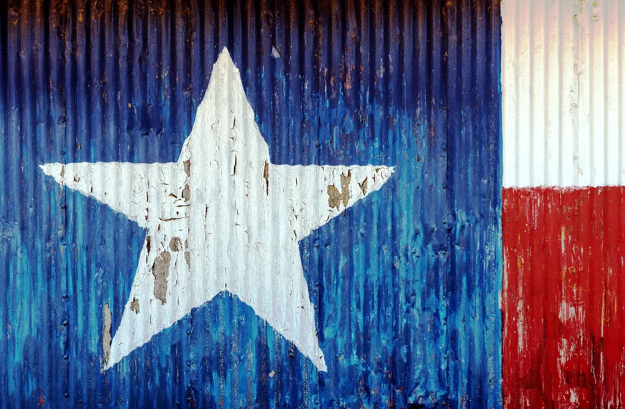 A painted Texas flag on corrugated metal