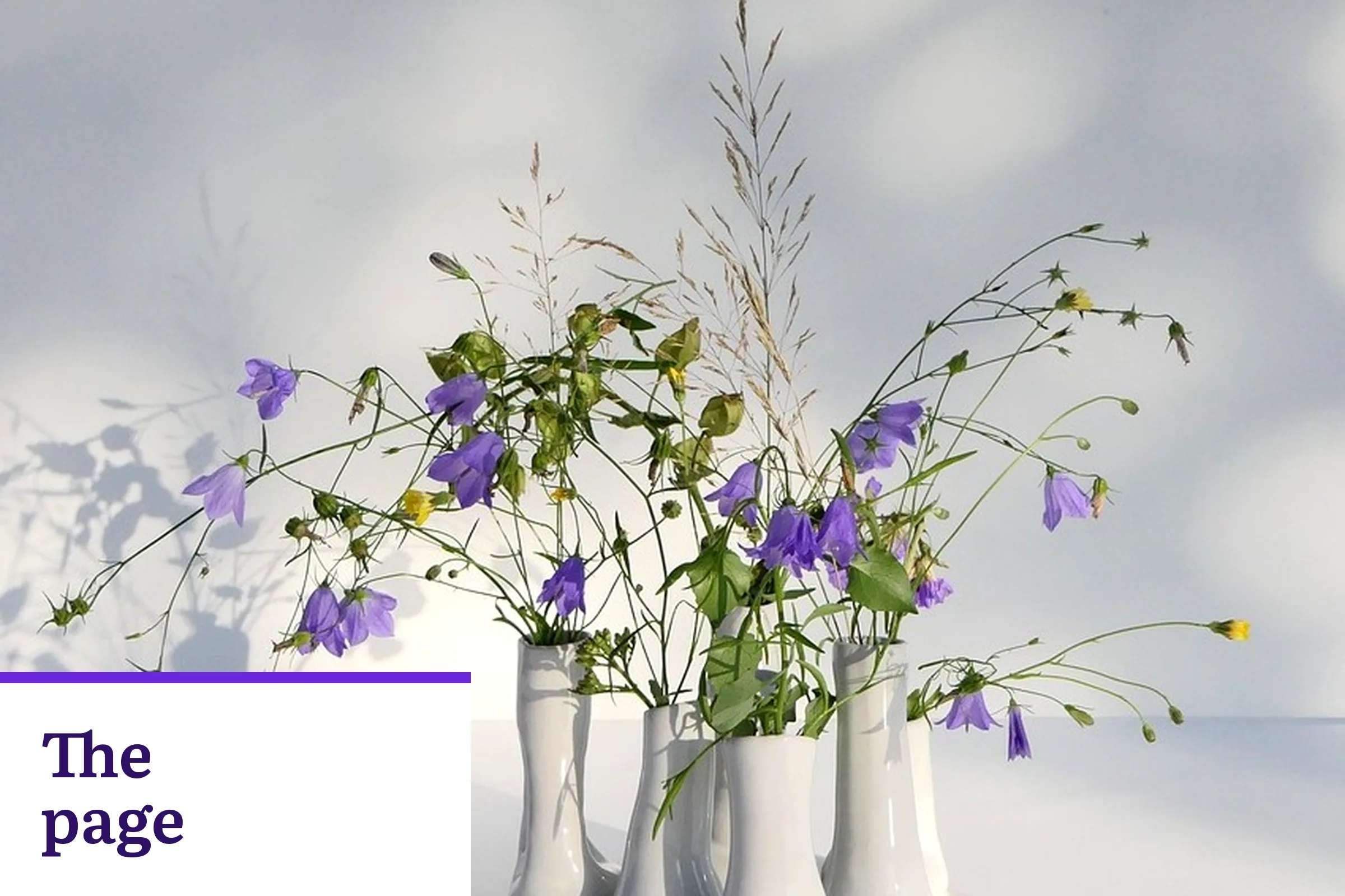 Purple flowers in white vases, with the words The page