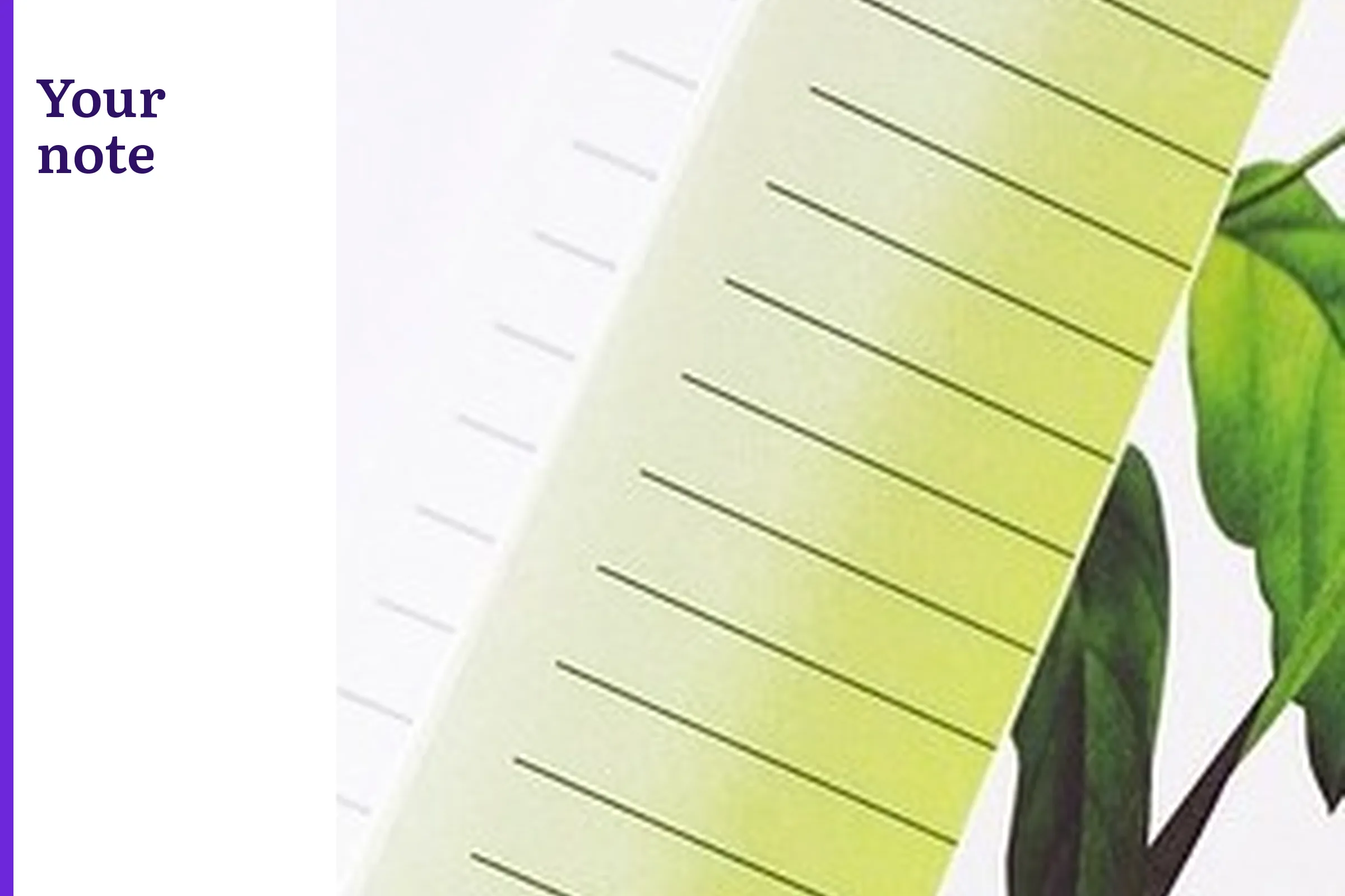 A lined notebook and a green leaf print, with the words Your note