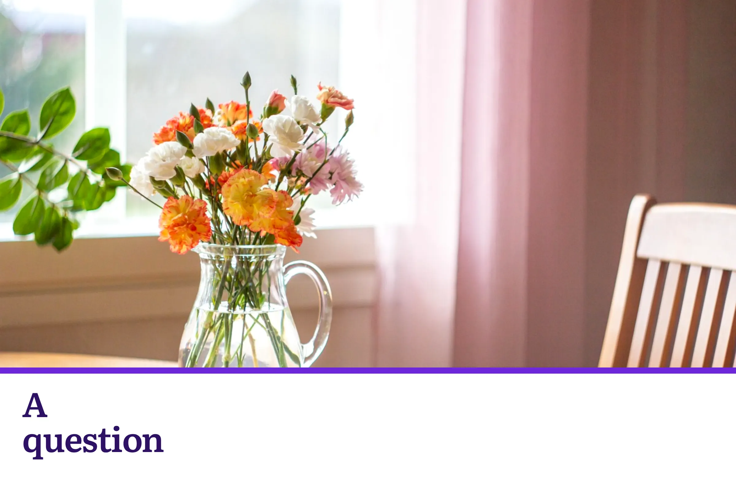 Carnations in a glass pitcher by a bright window, with the words A question
