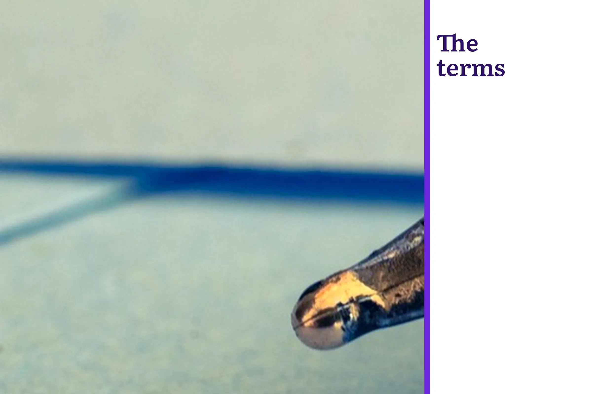 A fountain pen nib and a drop of ink, with the words The terms