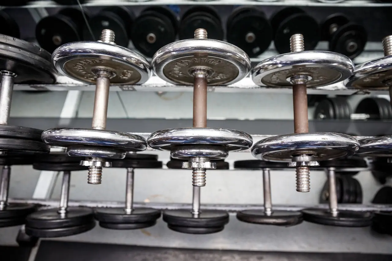 Chrome dumbbells stacked on a two tier gym rack.