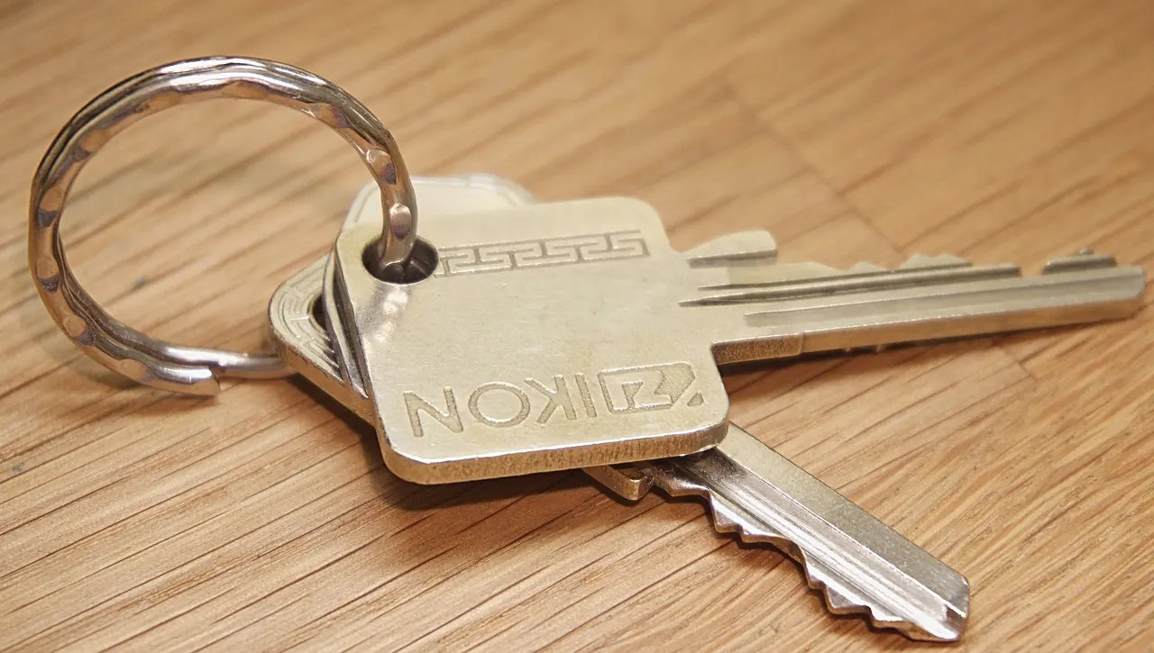 A ring of metal keys on a wood surface, the top key stamped Nikon