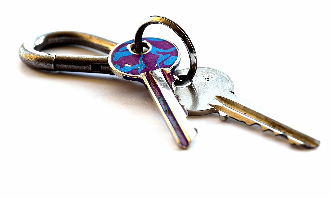 Two keys and a metal carabiner on a white field.