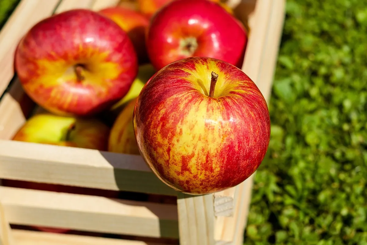 Red apples in a wooden crate
