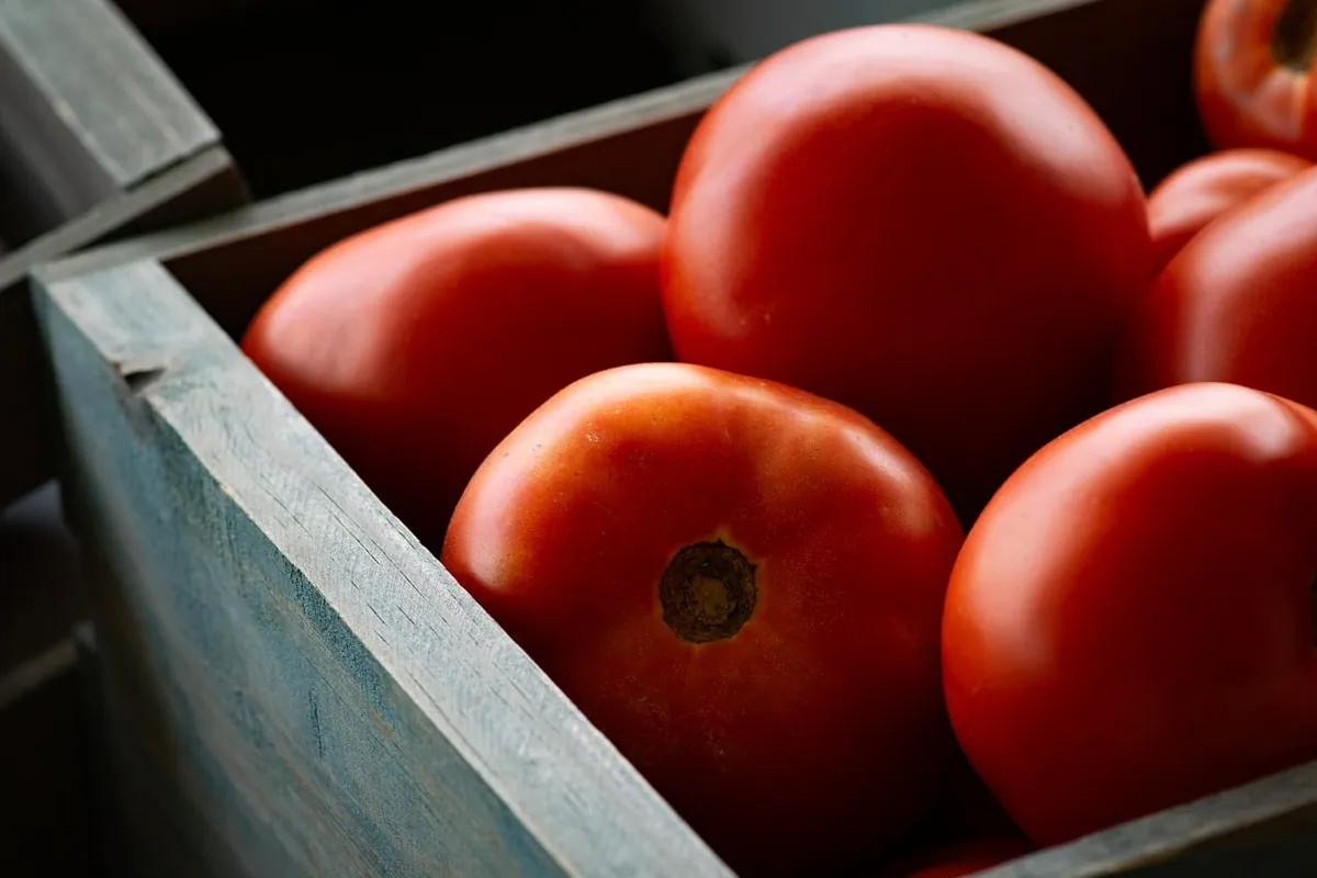 Ripe tomatoes in a wooden crate