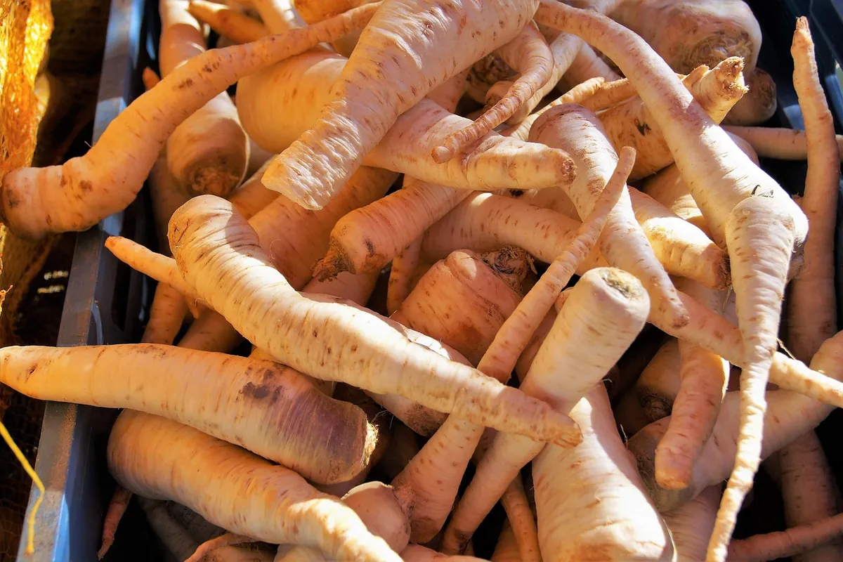 Pale root vegetables in a market crate