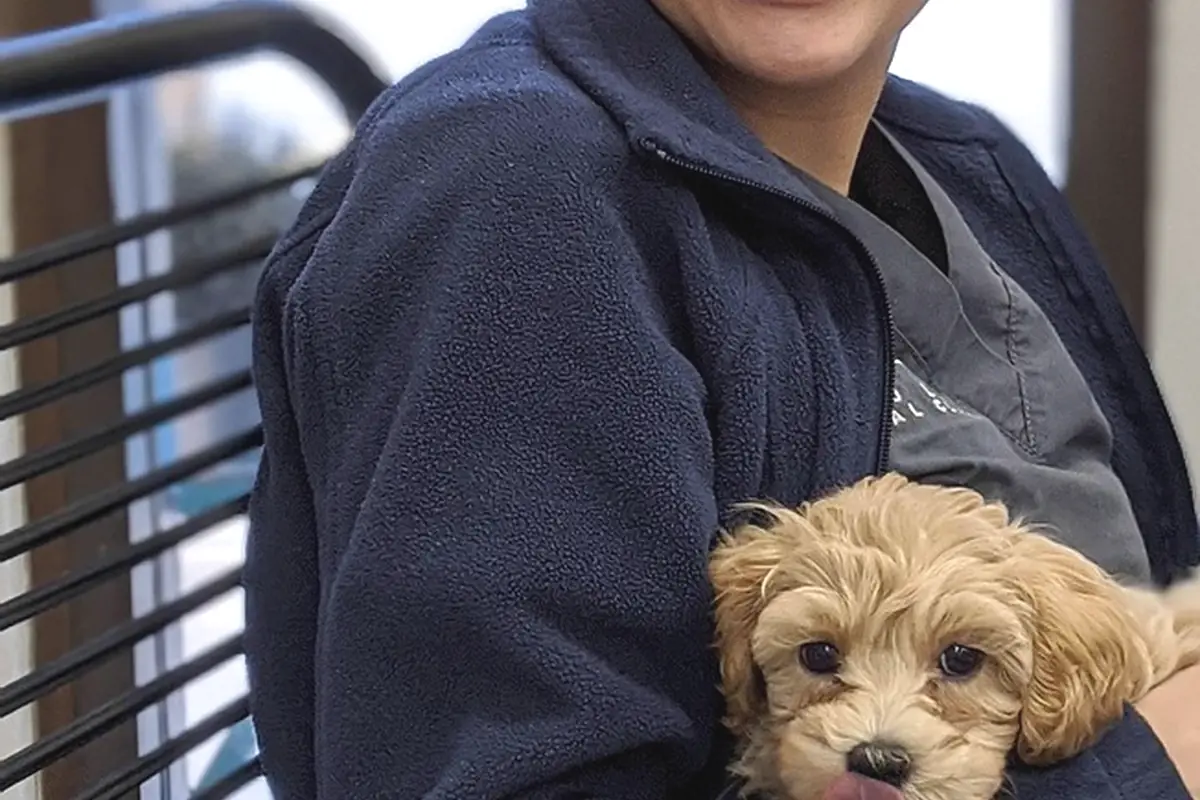 A person in a fleece holding a small puppy