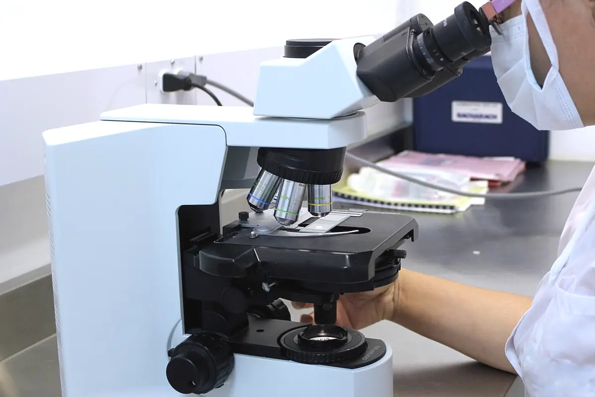 A person at a microscope in a bright lab